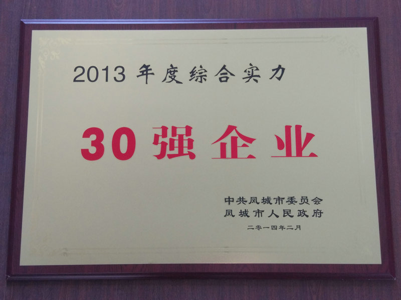 30強企業(yè) 2013.jpg
