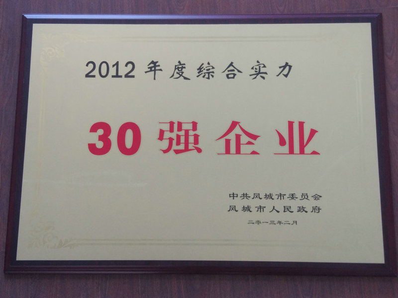 30強(qiáng)企業(yè) 2012.jpg